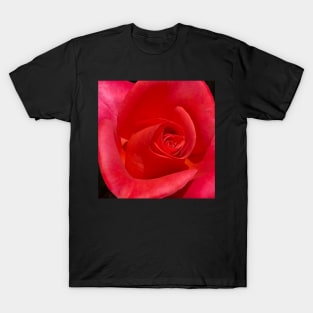 Unfurling Rose T-Shirt